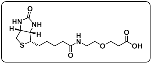 Biotin-PEG1-COOH