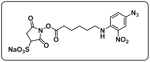 Sulfo-SANPAH Crosslinker