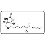 Biotin hydrazide HCl