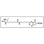 Sulfo-NHS-LC-Desthiobiotin