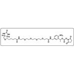 PC-Biotin-PEG4-NHS carbonate