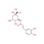 Chlorogenic Acid