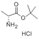 D-Ala-Otbu.Hcl