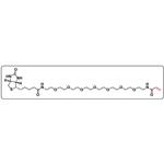 Biotin-PEG7-Acrylamide