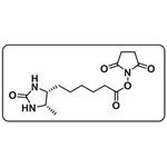 Desthiobiotin NHS Ester