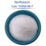 norfloxacin