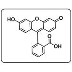 Fluorescin