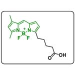 BODIPY FL C5