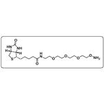 Biotin-PEG3-oxyamine HCl salt