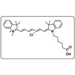 Cyanine7 carboxylic acid