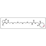 endo BCN-PEG4-NHS ester