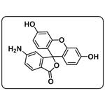 5(6)-Aminofluorescein