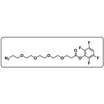 azido-PEG4-TFP ester