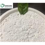 Cyclosporin A