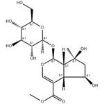 SHANZHISIDE METHYL ESTER