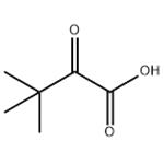 3,3-Dimethyl-2-oxobutyric acid