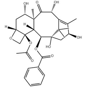 10-Deacetylbaccatin III