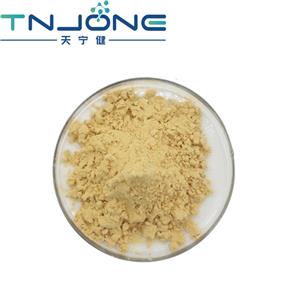 Ginseng Root Extract