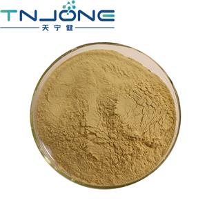 Ginkgo Biloba Extract 