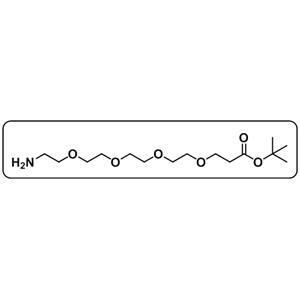 Amino-PEG4-COOtBu