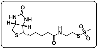 MTSEA-Biotin [N-Biotinoylaminoethyl methanethiosulfonate]