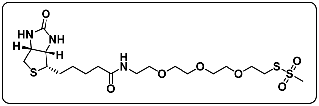 MTS-PEG3-Biotin [1-Biotinylamino-3,6,9-trioxaundecane-11-yl-methanethiosulfonate]