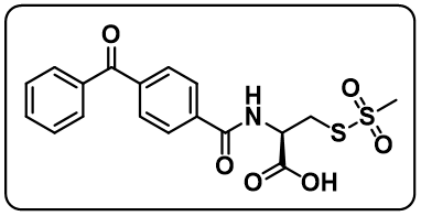 BPCAC-MTS [Benzophenone-4-carboxamidocysteine methanethiosulfonate]