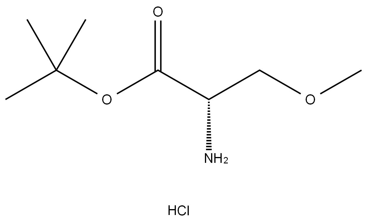 L-Ser(me)-otbu.Hcl