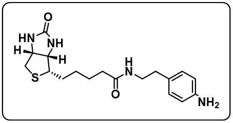 Biotin-aniline