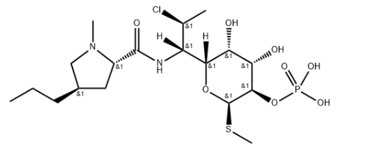 Clindmycin phosphate