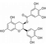 Tea polyphenol