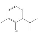 2-ISOPROPYL-4-METHYLPYRIDIN-3-AMINE