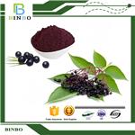 Elderberry Extract