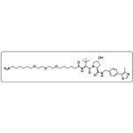 (S,R,S)-AHPC-6-2-2-6-NH2