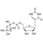 Pseudouridine 5’-Triphosphate