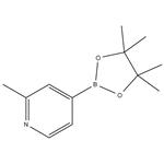 2-METHYLPYRIDINE-4-BORONIC ACID PINACOL ESTER