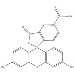 5-Carboxyfluorescein