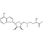 S-Adenosyl-L-methionine