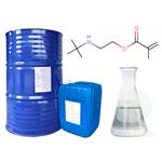 tert-Butylaminoethyl Methacrylate