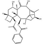 10-Deacetylbaccatin III