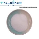 Ceftazidime Pentahydrate