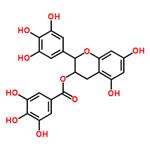 Tea polyphenol