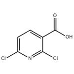 2,6-Dichloronicotinic acid