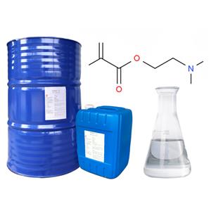 Dimethylaminoethyl methacrylate