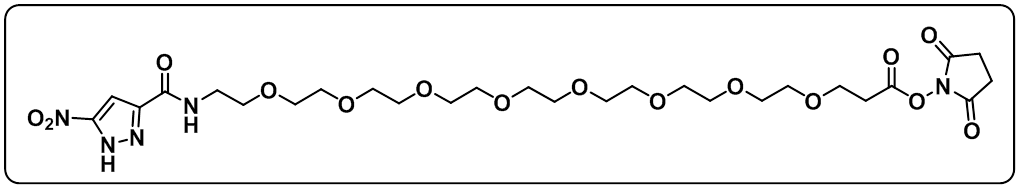 NP-PEG8-NHS ester