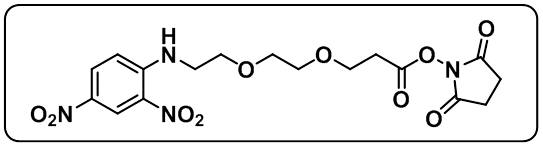 DNP-PEG2-NHS ester