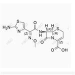 Ceftizoxime