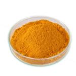 Hypericum Perforatum Extract/ Hyperoside