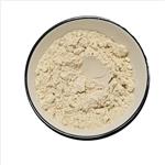 90045-38-8 Ginseng extract