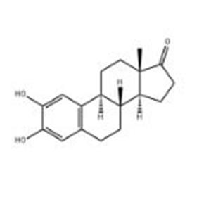 2-HYDROXYESTRONE